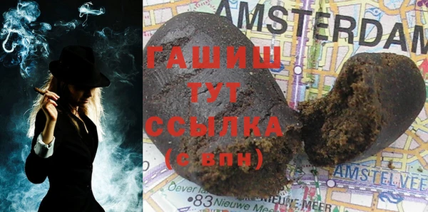 индика Новодвинск