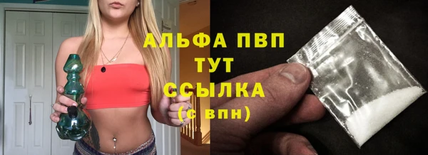 ECSTASY Няндома