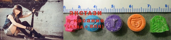 индика Новодвинск