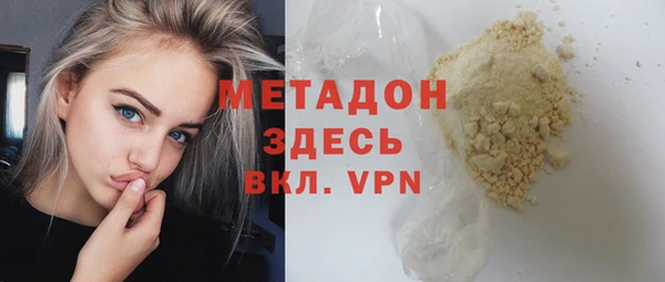 индика Новодвинск