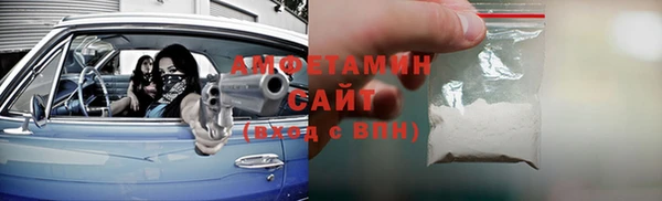 индика Новодвинск