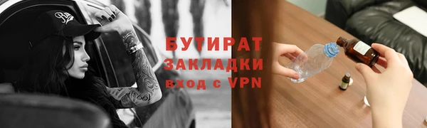 индика Новодвинск
