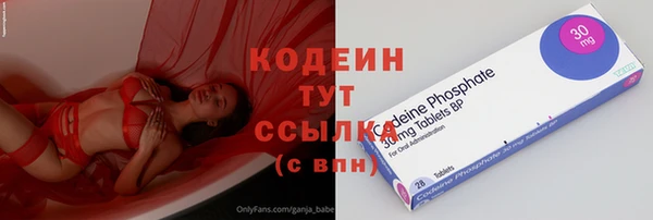 индика Новодвинск