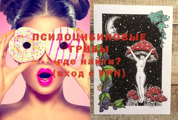ECSTASY Няндома