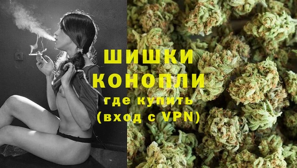 индика Новодвинск