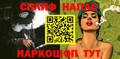 apvp Бийск