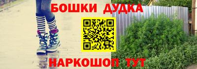 сатива Беслан