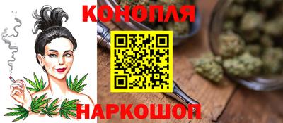 apvp Бийск