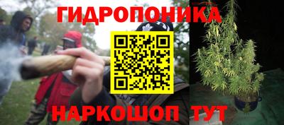 наркотики Берёзовский