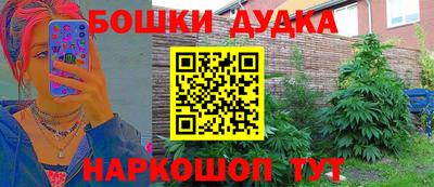 apvp Бийск