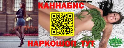 apvp Бийск