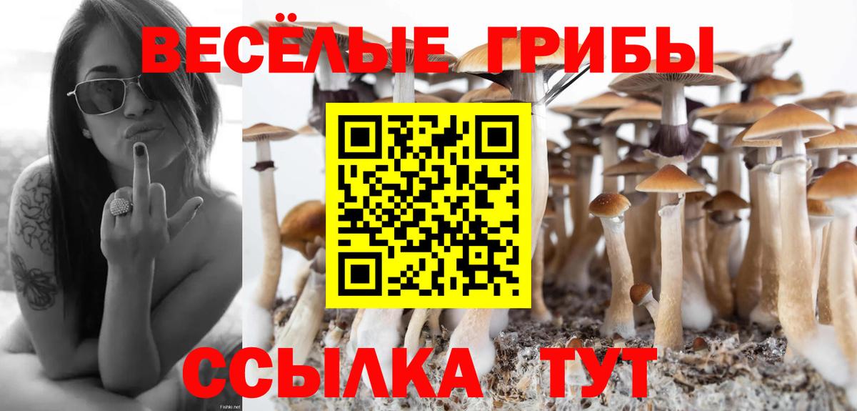 Псилоцибиновые грибы GOLDEN TEACHER  Полевской  Псилоцибиновые грибы Psilocybine cubensis 