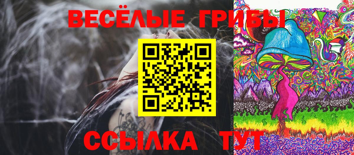 Псилоцибиновые грибы GOLDEN TEACHER Полевской
